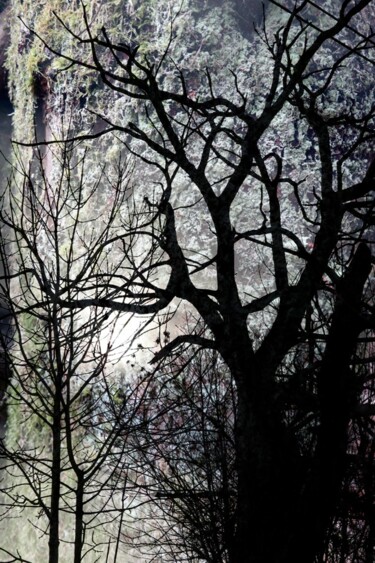 Fotografie mit dem Titel "Matin monochrome" von Borrel, Original-Kunstwerk, Digitale Fotografie
