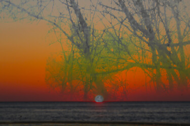 Photographie intitulée "Sunset. I/IV" par Borrel, Œuvre d'art originale, Photographie numérique Monté sur Plexiglas