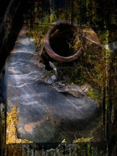 Photography titled "Cyclope 1" by Borrel, Original Artwork, Digital Photography Mounted on Plexiglass