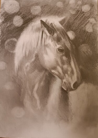Drawing titled "horse" by Borys Gierlinski, Original Artwork, Pencil