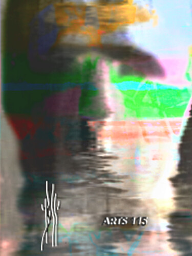 Arts numériques intitulée "MOAI" par Boss Arts115, Œuvre d'art originale, Collage numérique