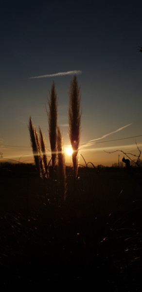 Photography titled "Nous sans fin ni re…" by Sao, Original Artwork