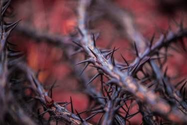 Photographie intitulée "Maze of spikes" par Bowie Faulk, Œuvre d'art originale, Photographie numérique