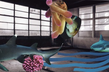 Collages getiteld "Aquarium 2/3 (Ciném…" door Boyfred, Origineel Kunstwerk, Collages