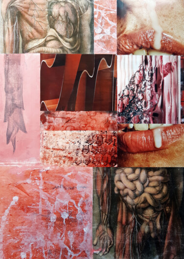 Collages titulada "Anatomie du plaisir…" por Boyfred, Obra de arte original, Acrílico