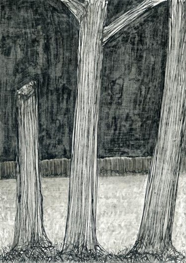Rysunek zatytułowany „D33-série des arbres” autorstwa Richard Brachais, Oryginalna praca, Inny
