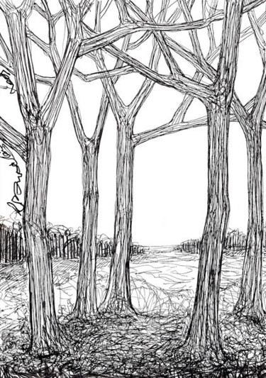 Dessin intitulée "D42-série des arbres" par Richard Brachais, Œuvre d'art originale, Autre