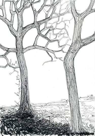 Dessin intitulée "D45-série des arbres" par Richard Brachais, Œuvre d'art originale, Autre