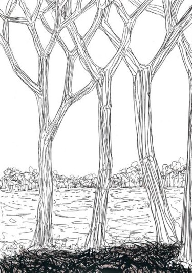 Dessin intitulée "D46-série des arbres" par Richard Brachais, Œuvre d'art originale, Autre