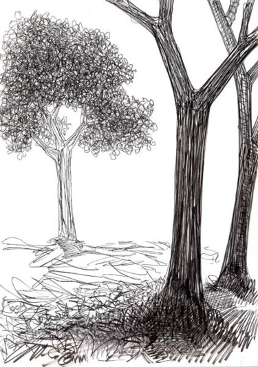 Dessin intitulée "D50-série des arbres" par Richard Brachais, Œuvre d'art originale, Autre