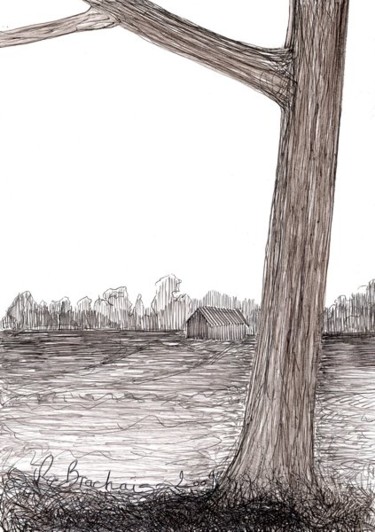 Drawing titled "D54-série des arbres" by Richard Brachais, Original Artwork, Other