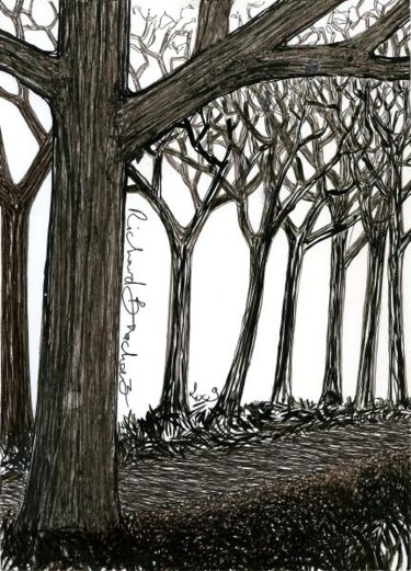 Dessin intitulée "D59-série des arbres" par Richard Brachais, Œuvre d'art originale, Autre