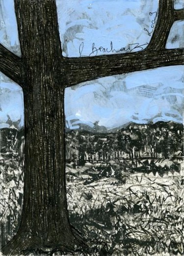 Dessin intitulée "D60-série des arbres" par Richard Brachais, Œuvre d'art originale, Autre