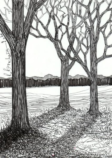 Dessin intitulée "D62-série des arbres" par Richard Brachais, Œuvre d'art originale, Autre
