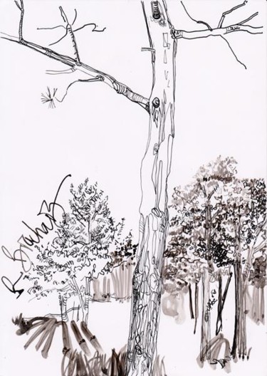 Dessin intitulée "D66-série des arbres" par Richard Brachais, Œuvre d'art originale, Autre