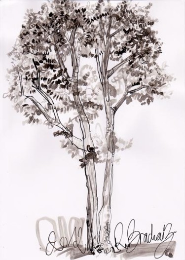 Dessin intitulée "D67-série des arbres" par Richard Brachais, Œuvre d'art originale, Autre