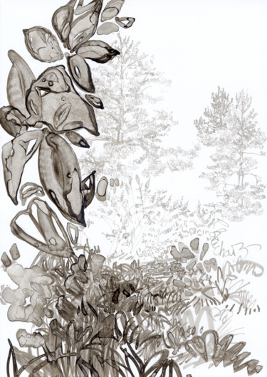 Drawing titled "d71-serie-des-arbre…" by Richard Brachais, Original Artwork