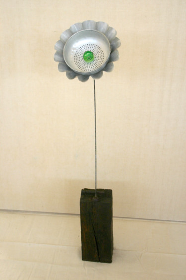 Sculpture intitulée "fleur-2-125x25x40-2…" par Richard Brachais, Œuvre d'art originale, Métaux