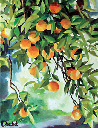 Painting titled "Oranger à Séville" by Pascal Brachet, Original Artwork, Oil