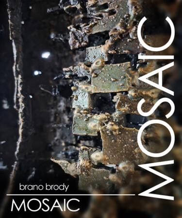 Γλυπτική με τίτλο "brano brody  MOSAIC" από Brano Brody, Αυθεντικά έργα τέχνης, Μέταλλα