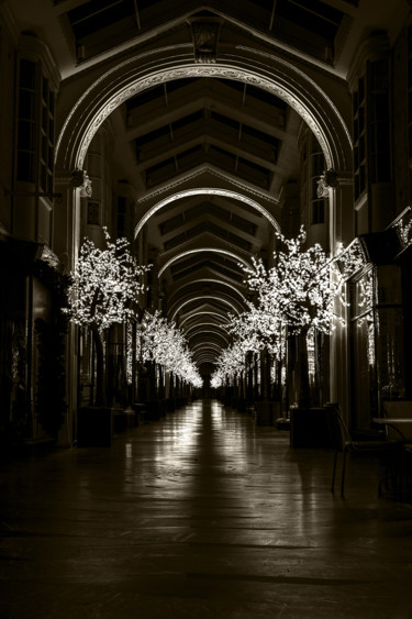 摄影 标题为“Burlington Arcade” 由Jgc Braticius, 原创艺术品, 数码摄影