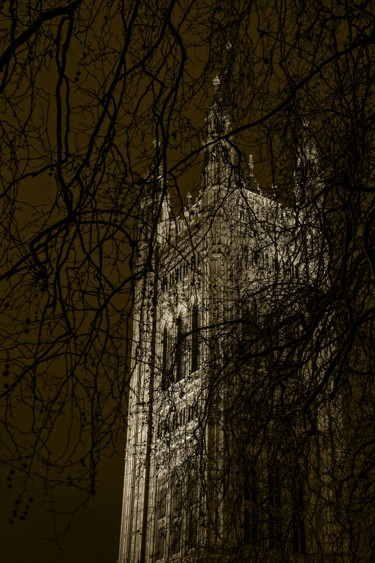 Photographie intitulée "Palace of Westminst…" par Jgc Braticius, Œuvre d'art originale, Photographie numérique