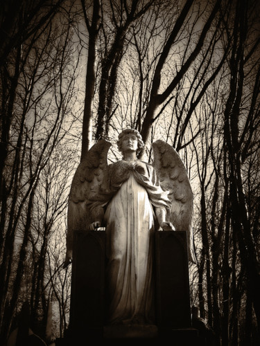 Photography titled "Highgate Cemetery I" by Jgc Braticius, Original Artwork, Digital Photography