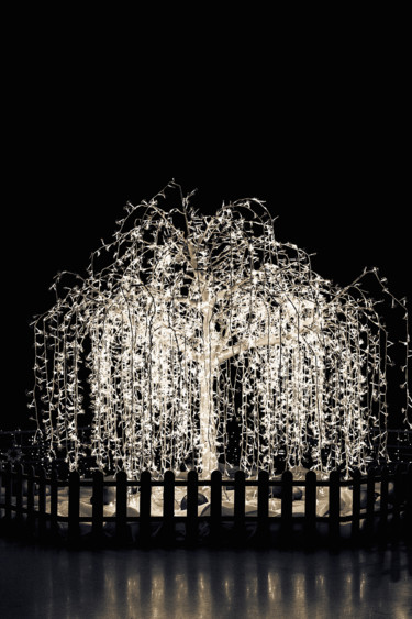 Fotografía titulada "Illumination I" por Jgc Braticius, Obra de arte original, Fotografía digital