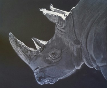 Dessin intitulée "Rhinocéros" par Brenda Desnoulet, Œuvre d'art originale, Crayon