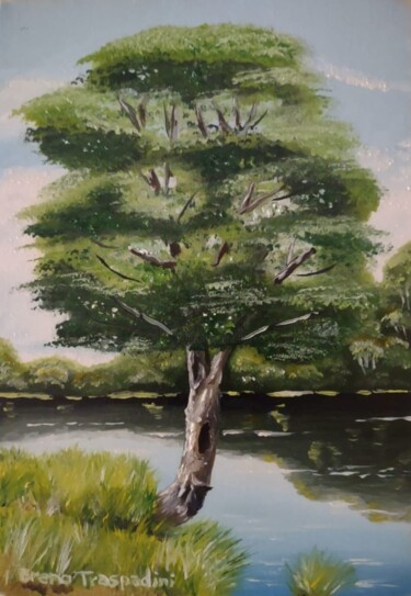 Malerei mit dem Titel "Árvore à beira do l…" von Breno Chieppe Traspadini, Original-Kunstwerk, Öl Auf Keilrahmen aus Holz mo…