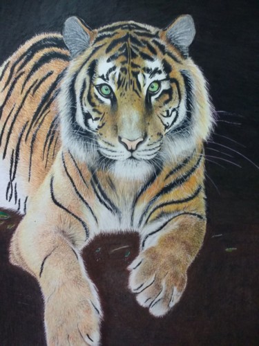 Desenho intitulada "Tigre á lápis" por Brenon, Obras de arte originais, Lápis
