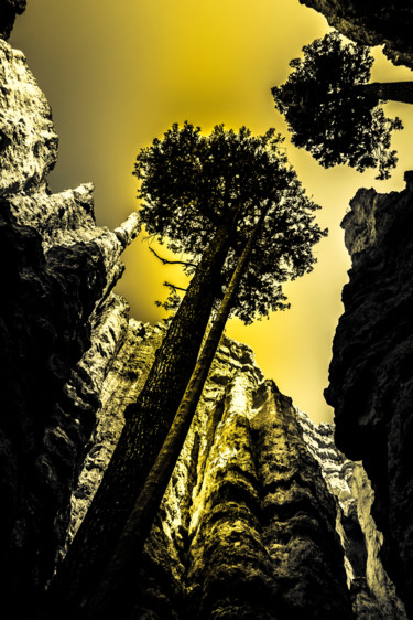 Photographie intitulée "Bryce Canyon - Limi…" par Brice Bourgois, Œuvre d'art originale