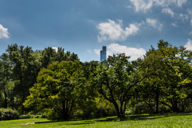 Photographie intitulée "Central Park La dét…" par Brice Bourgois, Œuvre d'art originale, Photographie numérique