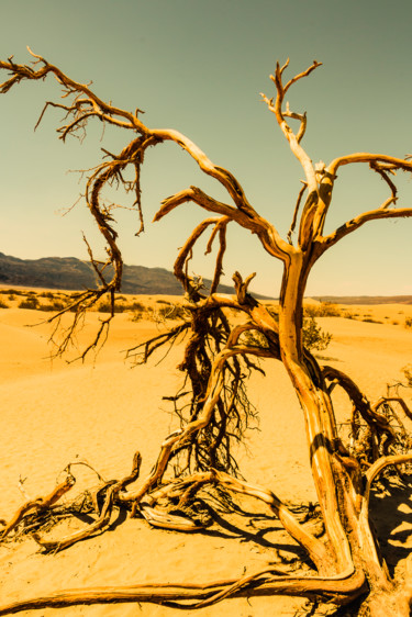 Photographie intitulée "Dead Valley - Limit…" par Brice Bourgois, Œuvre d'art originale, Photographie numérique