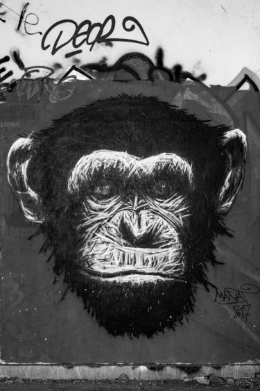 Photographie intitulée "Le chimpanzé" par Brice Bourgois, Œuvre d'art originale, Photographie numérique