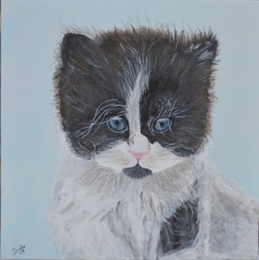 Painting titled "Chaton aux yeux ble…" by Brigitte Didier (Biche), Original Artwork, Acrylic