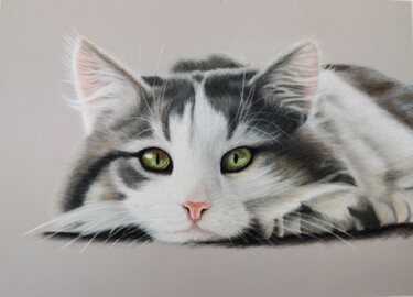 Zeichnungen mit dem Titel "Grey-white cat" von Brigitta Lukács, Original-Kunstwerk, Pastell