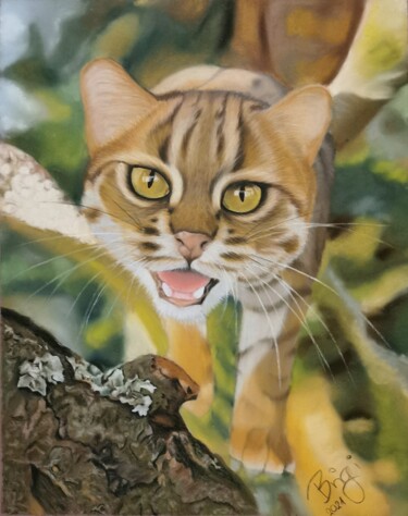 Dibujo titulada "Rusty spotted cat" por Brigitta Lukács, Obra de arte original, Pastel
