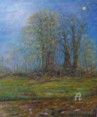 Pintura titulada "Retour aux sources" por Brigitte Conan (Steva), Obra de arte original, Acrílico Montado en Bastidor de cam…