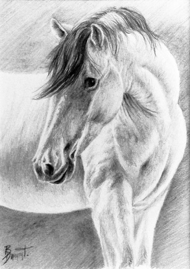 Tekening getiteld "Cheval blanc" door Brigitte Dumont, Origineel Kunstwerk, Grafiet