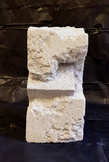 Скульптура под названием "Inclusion" - Brigitte Dumont, Подлинное произведение искусства, бетон