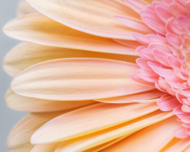 Photography titled "Soleil rose" by Brigitte Marcotte, Original Artwork, Digital Photography