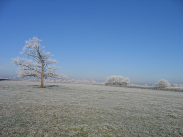 Photography titled "Le pré givré, colle…" by Brigitte Mathé (MBL), Original Artwork