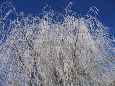 Fotografie getiteld "Pluie de givre, col…" door Brigitte Mathé (MBL), Origineel Kunstwerk