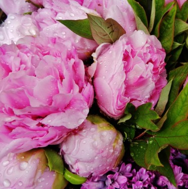 Fotografia zatytułowany „Pivoines roses” autorstwa Brigitte Mathé (MBL), Oryginalna praca