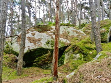 Photography titled "Forêt des 3 Pignons…" by Brigitte Mathé (MBL), Original Artwork