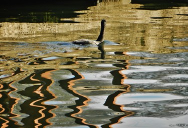 Photographie intitulée "Reflets de Seine" par Brigitte Mathé (MBL), Œuvre d'art originale
