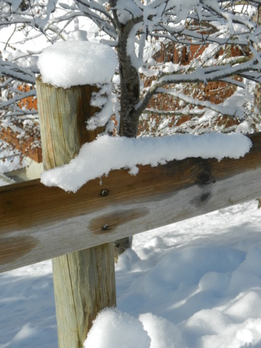 Photographie intitulée "Il a neigé dans la…" par Brigitte Mathé (MBL), Œuvre d'art originale
