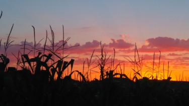 Fotografia zatytułowany „Coucher de soleil p…” autorstwa Brigitte Mathé (MBL), Oryginalna praca