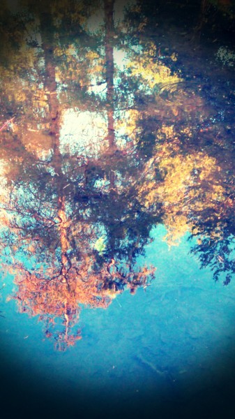 Fotografía titulada "Reflets d'automne" por Brigitte Mathé (MBL), Obra de arte original